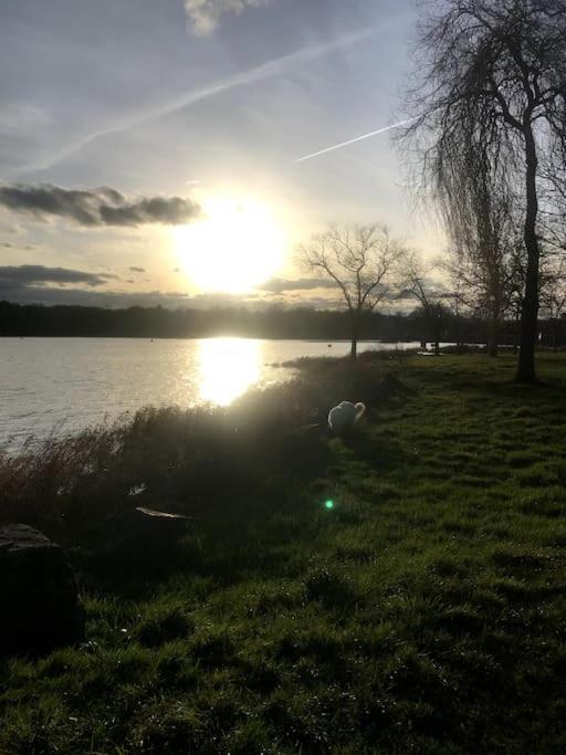 Gite A La Campagne Au Bord D'Un Lac 8 Personnes Saint-Quentin-sur-Charente Kültér fotó