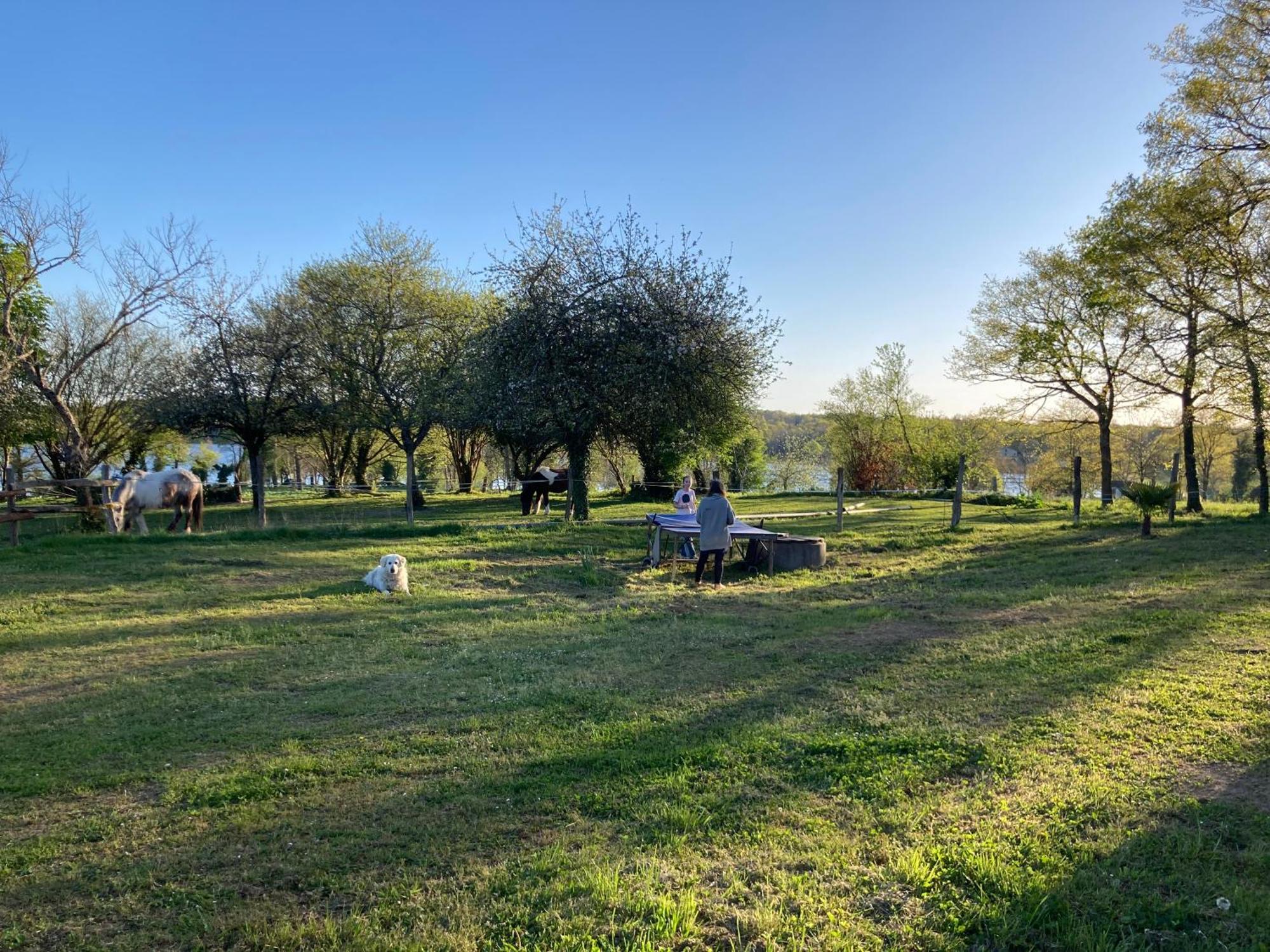 Gite A La Campagne Au Bord D'Un Lac 8 Personnes Saint-Quentin-sur-Charente Kültér fotó