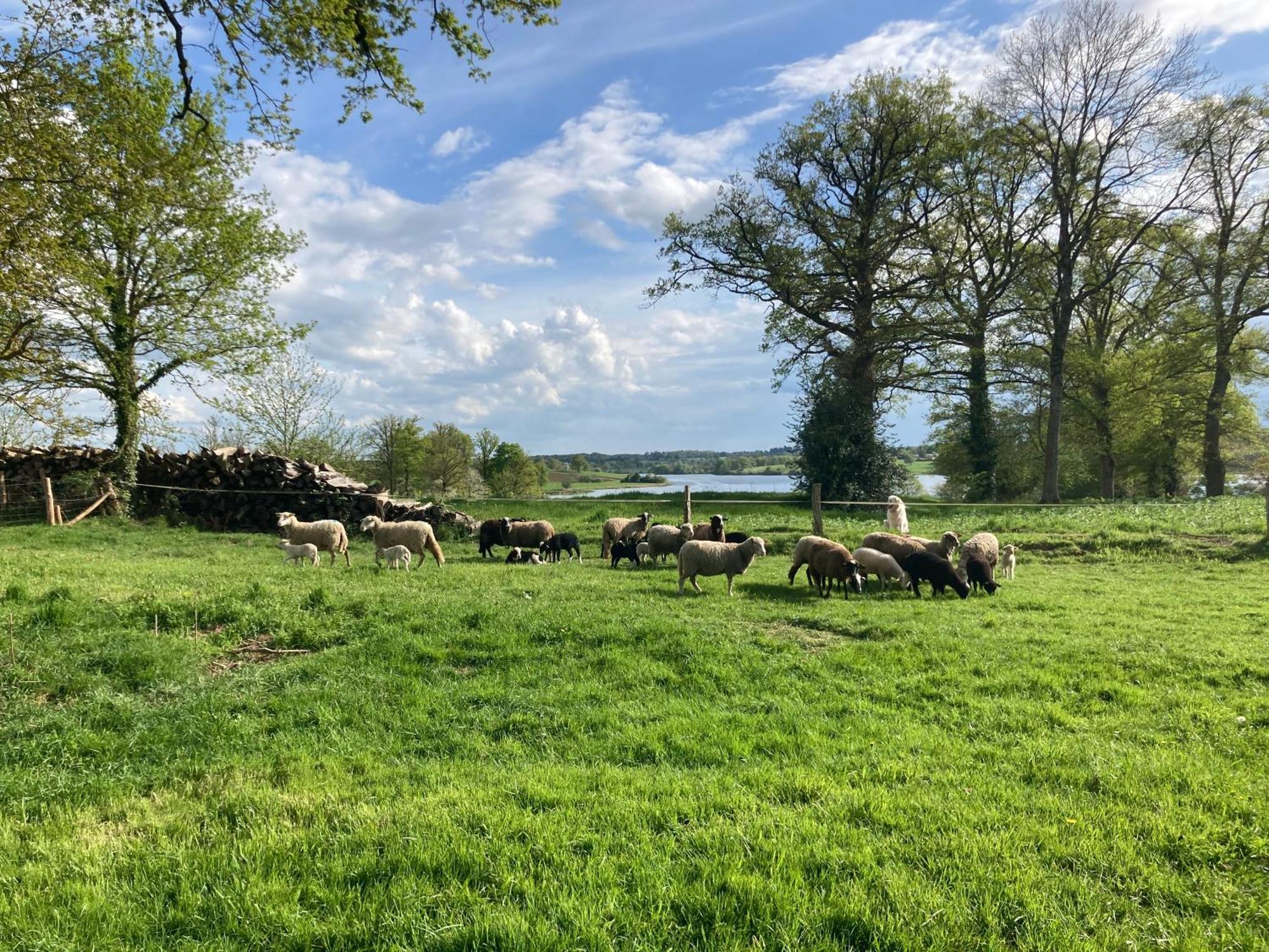 Gite A La Campagne Au Bord D'Un Lac 8 Personnes Saint-Quentin-sur-Charente Kültér fotó